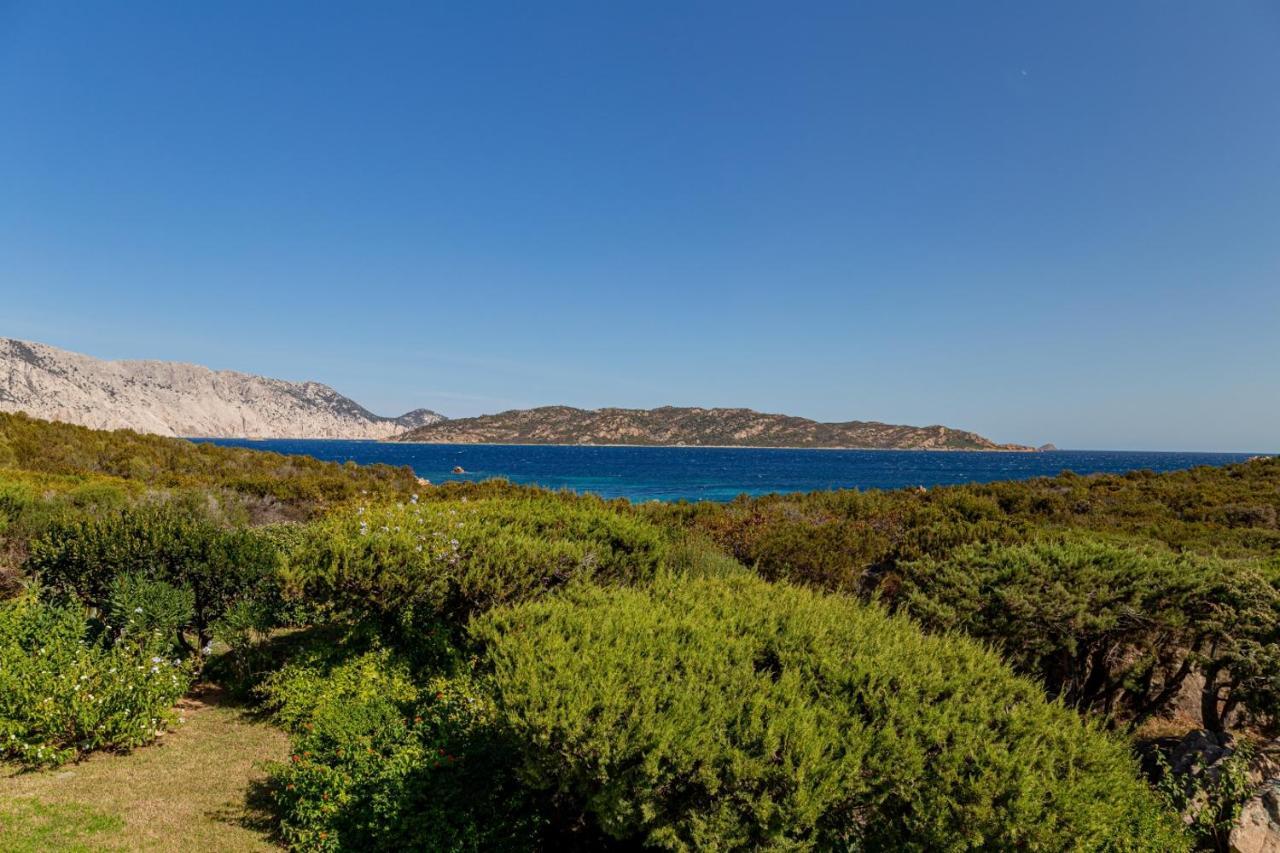 Appartamento Cala Paradiso San Teodoro  Exterior photo